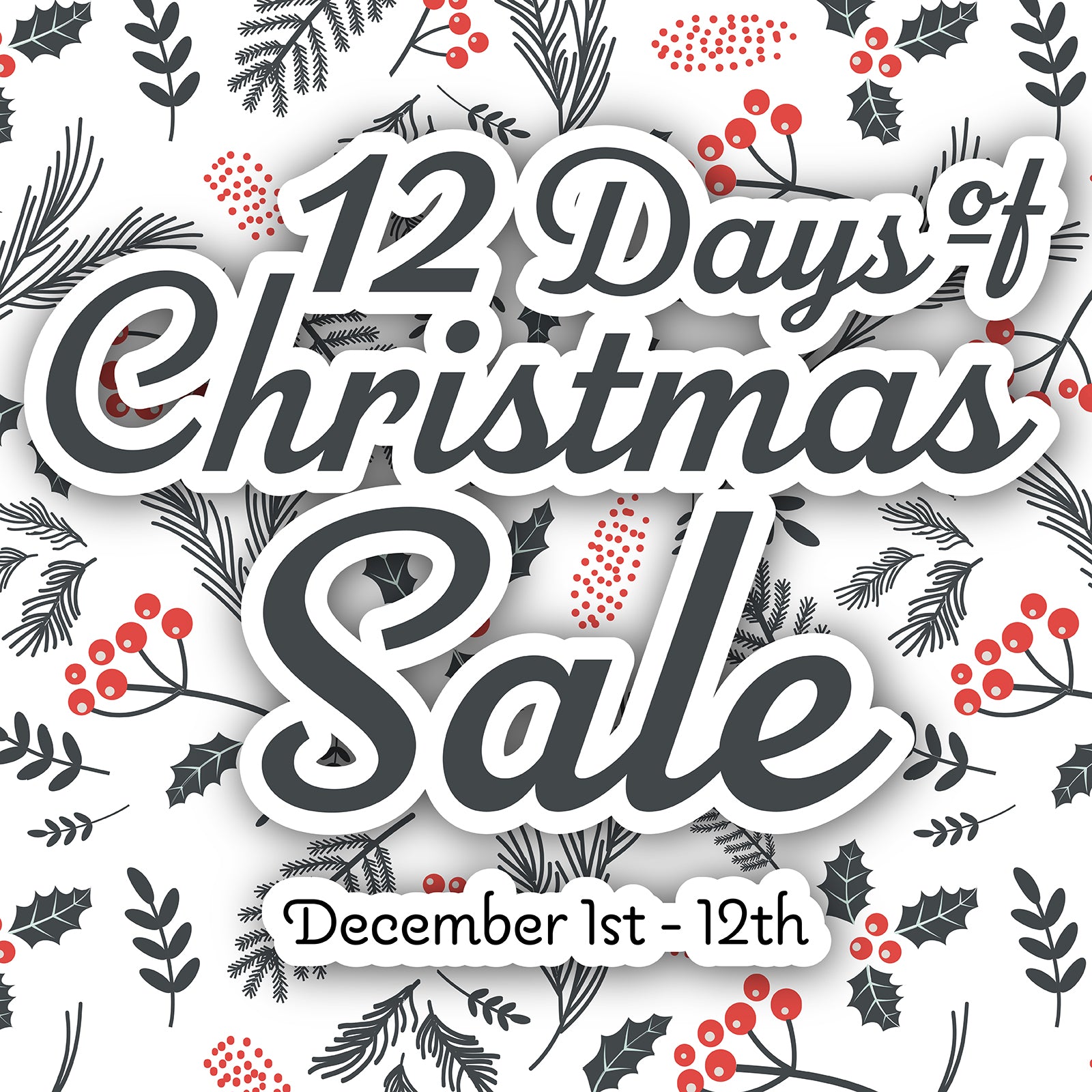12 Days of Christmas Sale Starts Dec. 1st