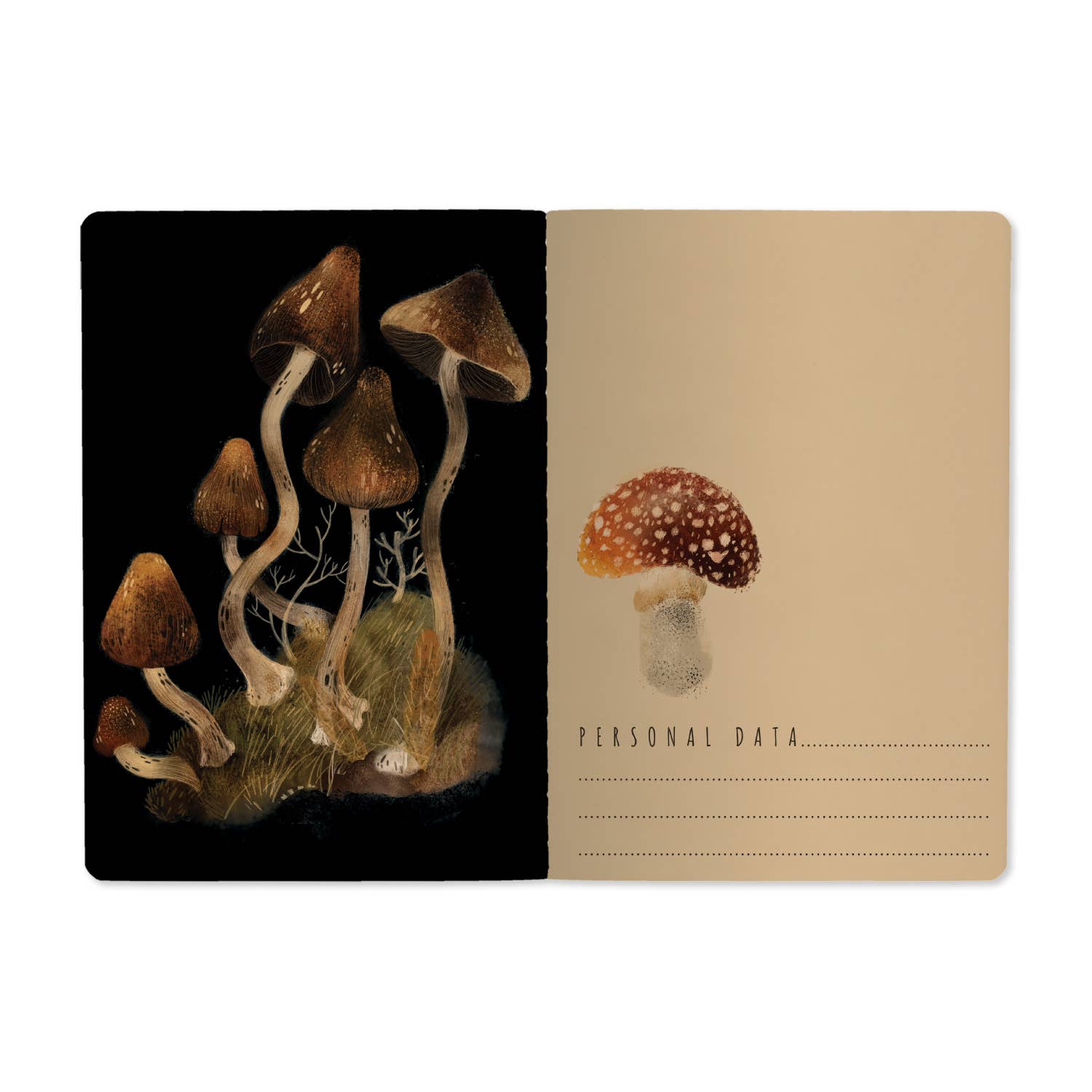 Forest Mushrooms