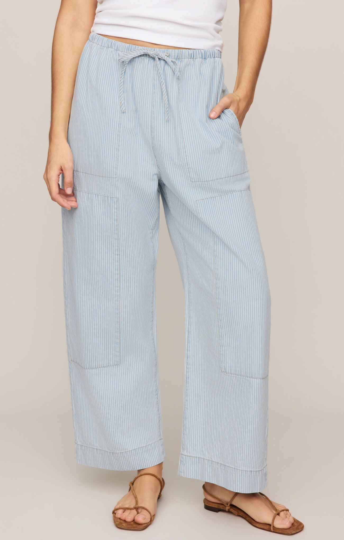 Carpenter Pant Stripe by Z Supply