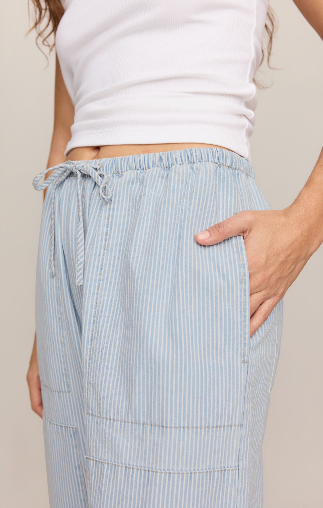 Carpenter Pant Stripe by Z Supply
