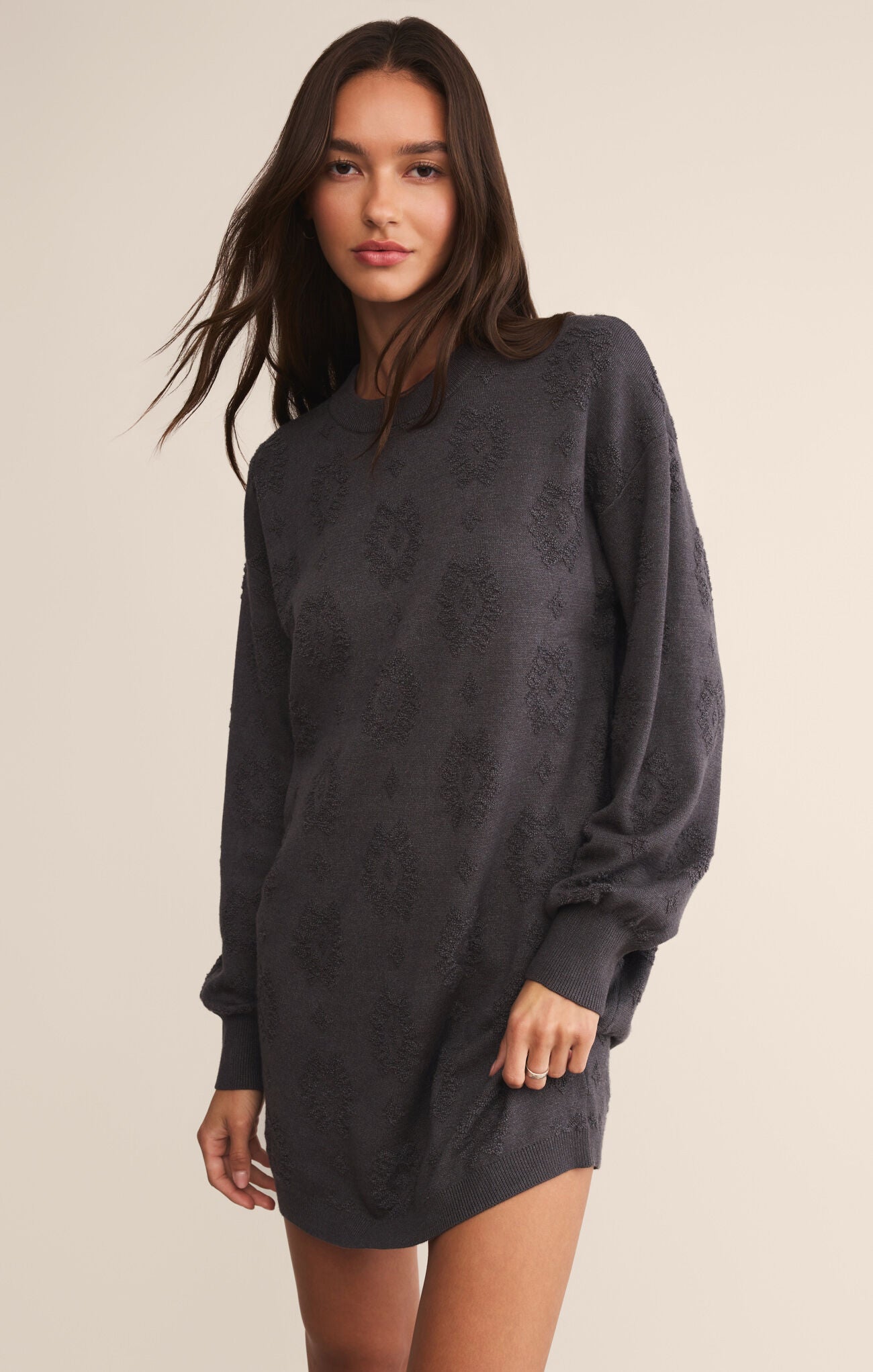 Z Supply Amina Sweater Dress