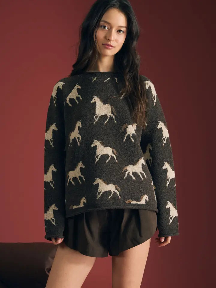 On The Ranch Pullover Sweater