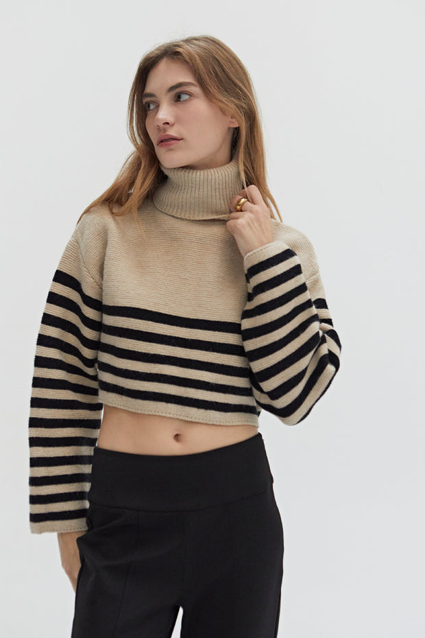 AVERY TURTLENECK STRIPED SWEATER