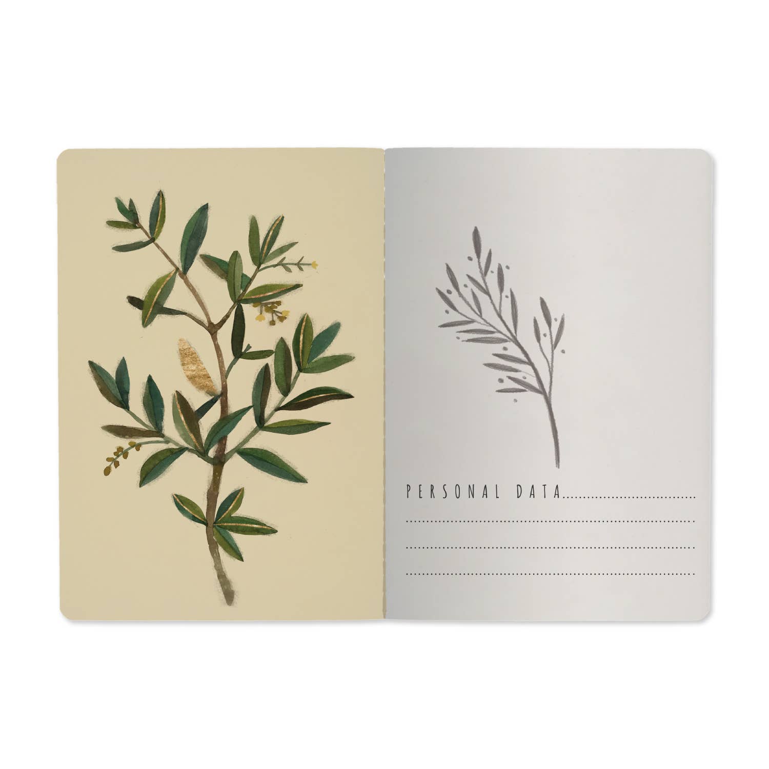 BV by Bruno Visconti Notebook Olive