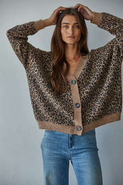 Knit Sweater Animal Print Cardigan