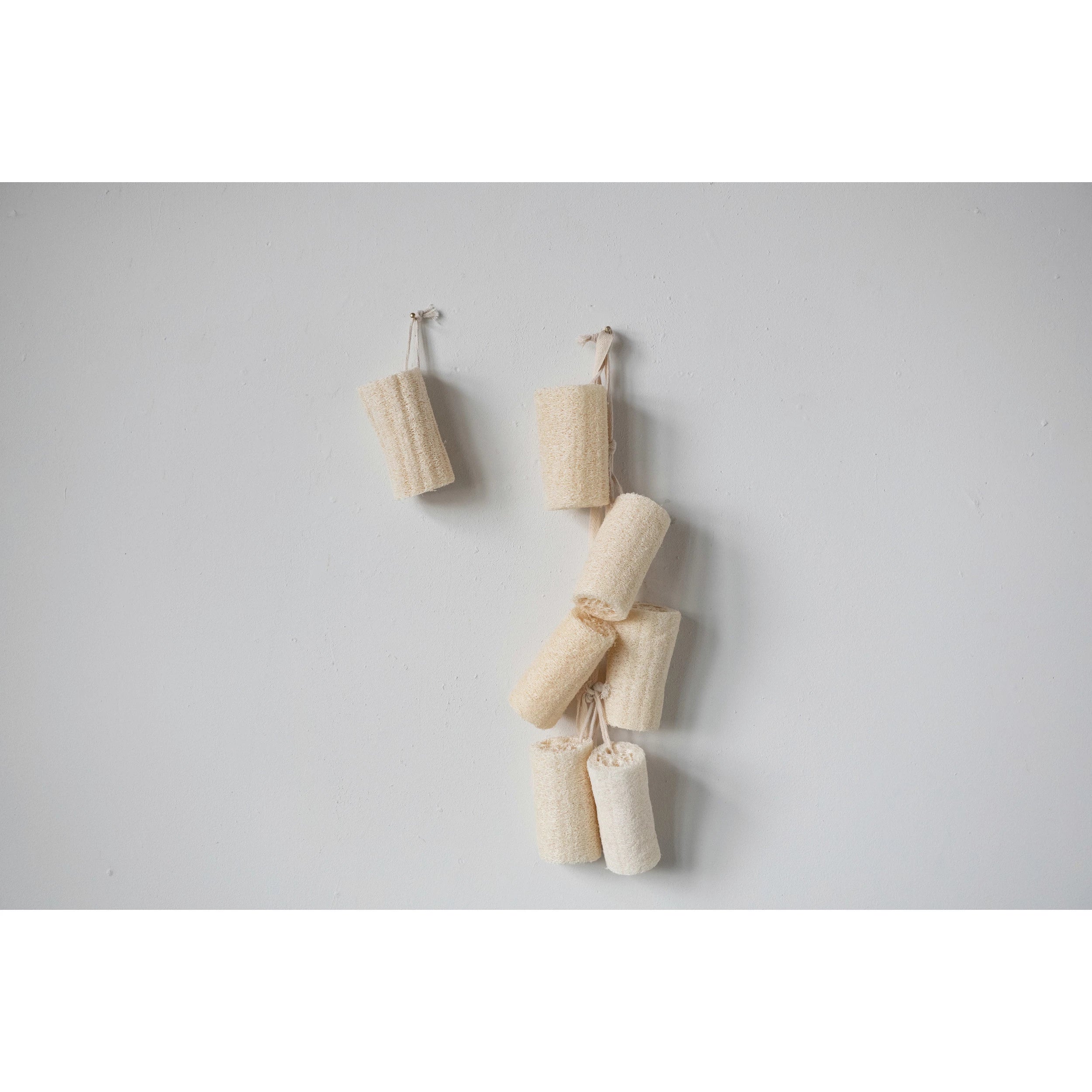 LOOFAH BRUSH W/ COTTON ROPE