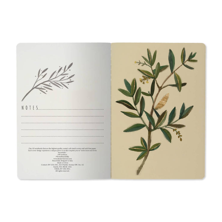 BV by Bruno Visconti Notebook Olive