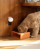 Pura Smart Fragrance Diffuser
