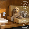 Pura Smart Fragrance Diffuser