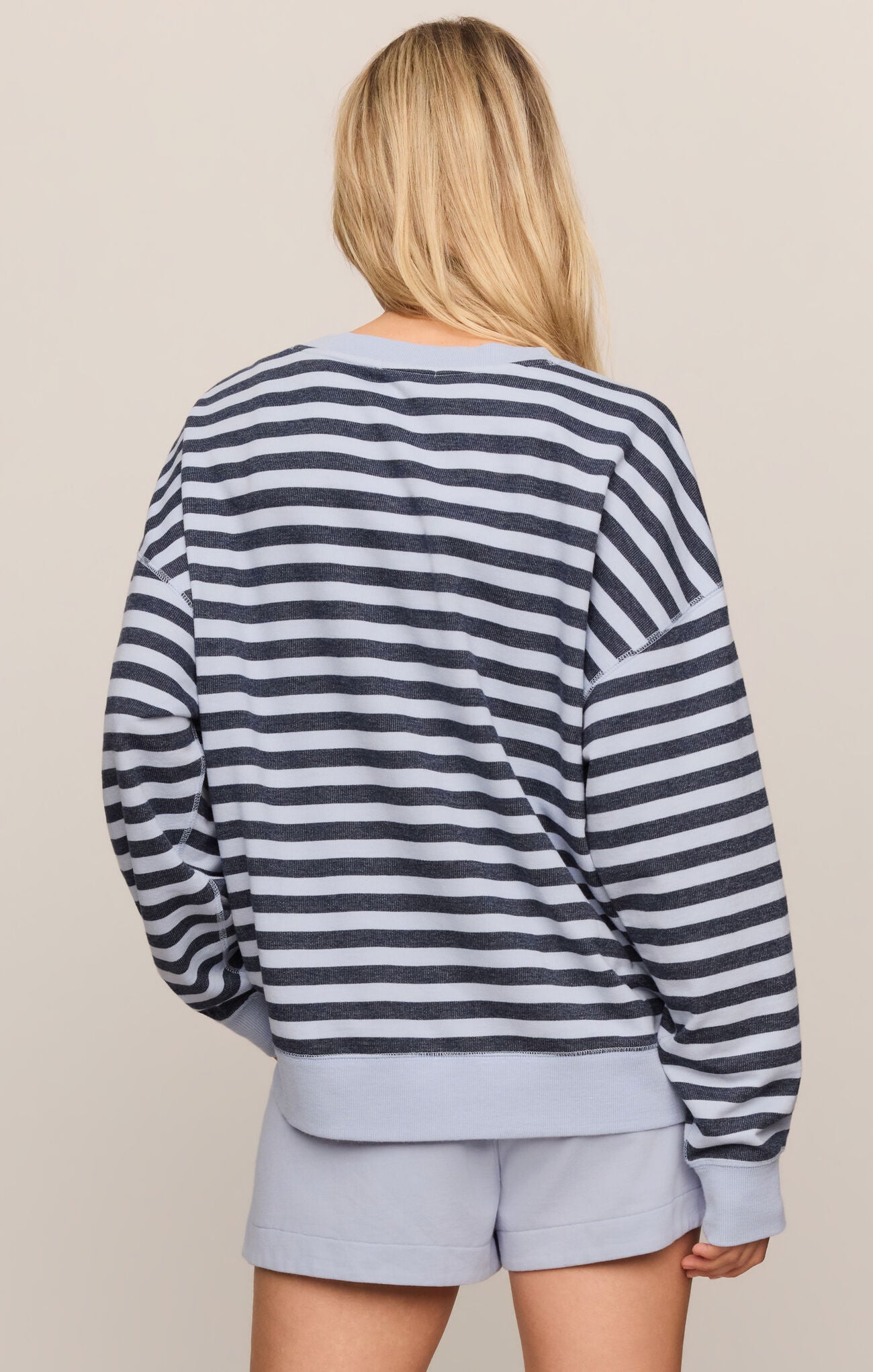 Z Supply Everyday Striped Crew