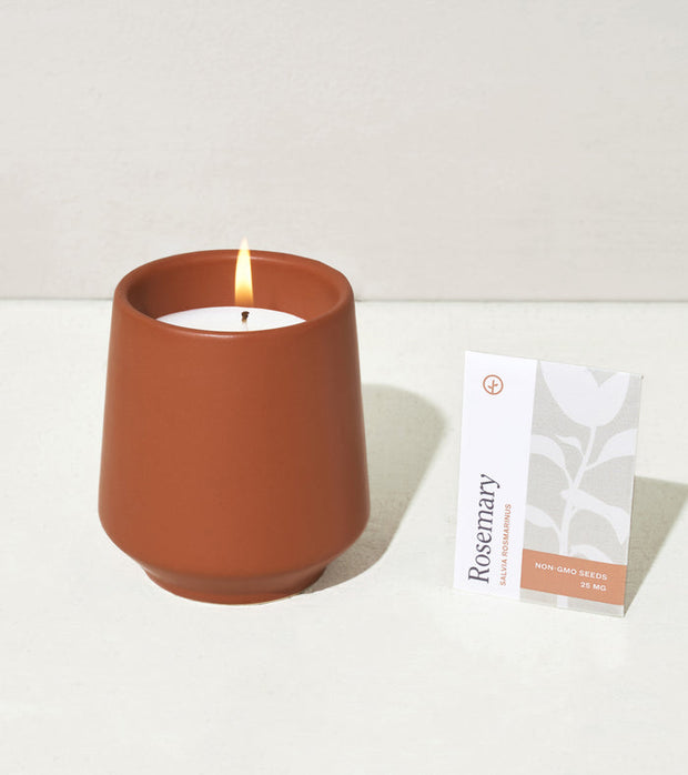 ROOTED CANDLES