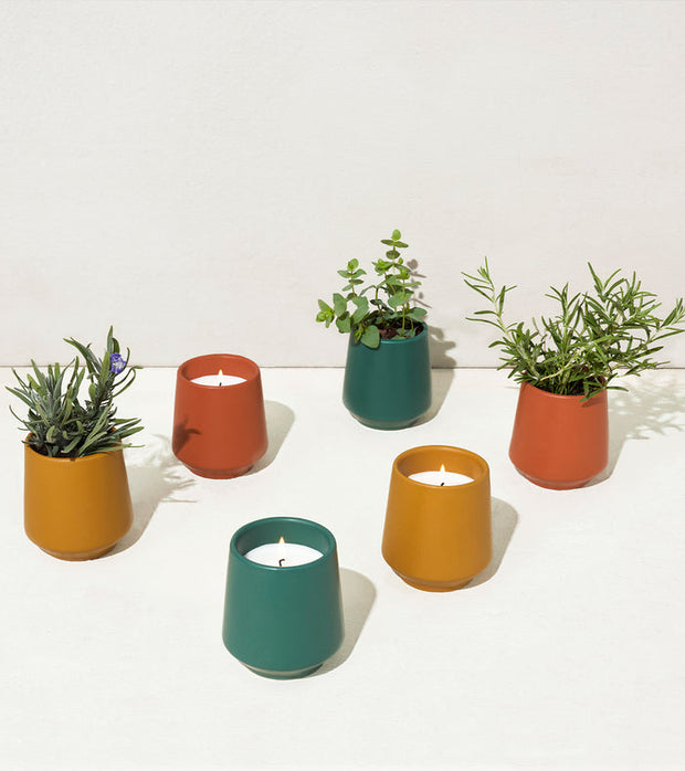 ROOTED CANDLES